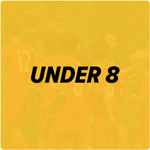KL Cup Under 8